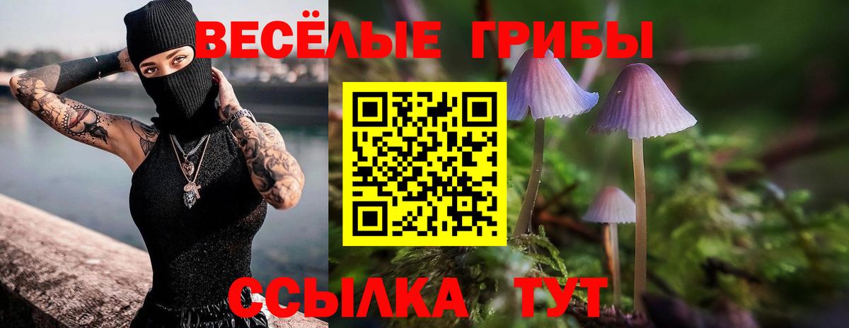 Галлюциногенные грибы Psilocybine cubensis  наркотики  Ливны  Вход с VPN 