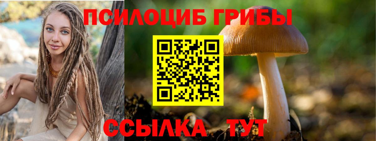 Псилоцибиновые грибы Magic Shrooms Ливны